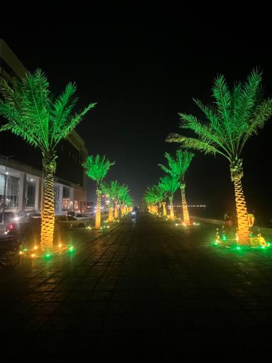 عکس ساحل بوشهر