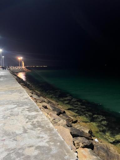 عکس ساحل بوشهر