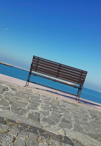 عکس ساحل بوشهر