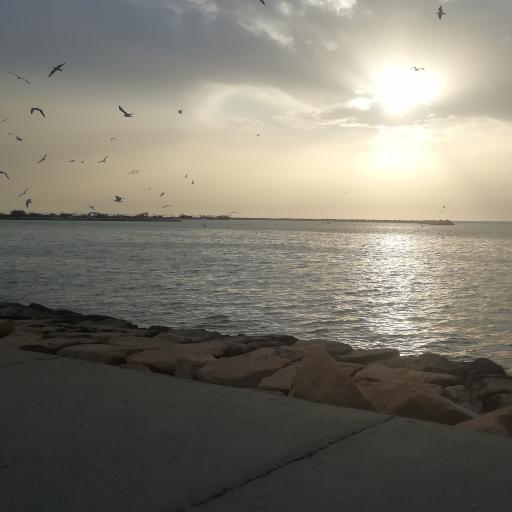 عکس ساحل بوشهر