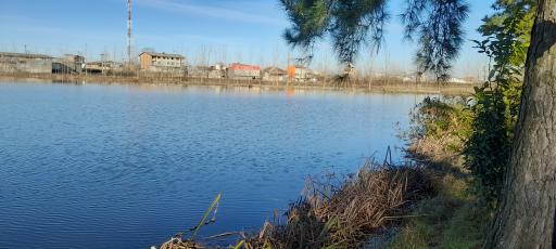 عکس استخر پرورش ماهی