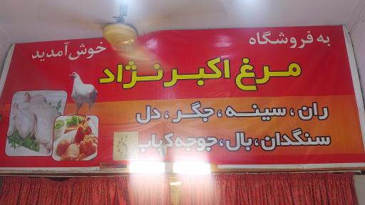 عکس مرغ اکبرنژاد 