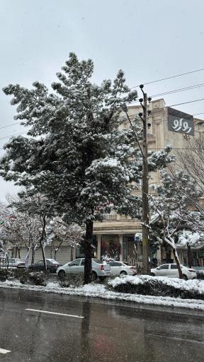 پوشاک روارو