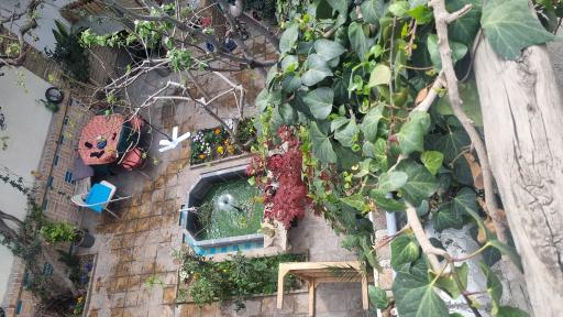 عکس خانه اصلانی