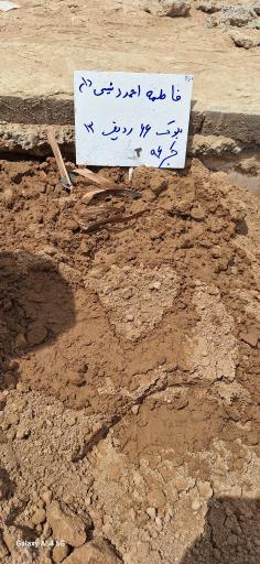 عکس مزار فاطمه احمد رئیسی