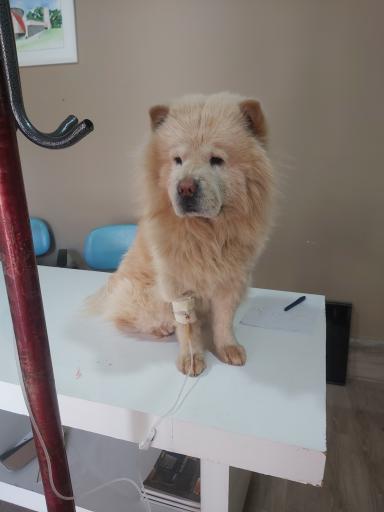 عکس کلینیک دامپزشکی دکتر یوسف پور