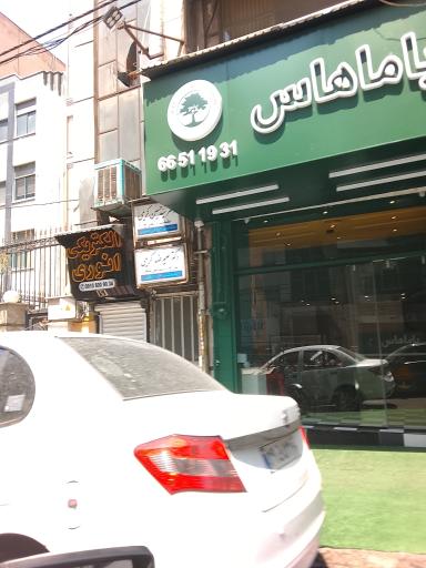 عکس باماهاس ستارخان