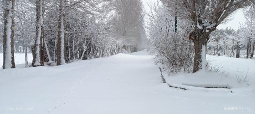 عکس نهالستان بزرگ کرج
