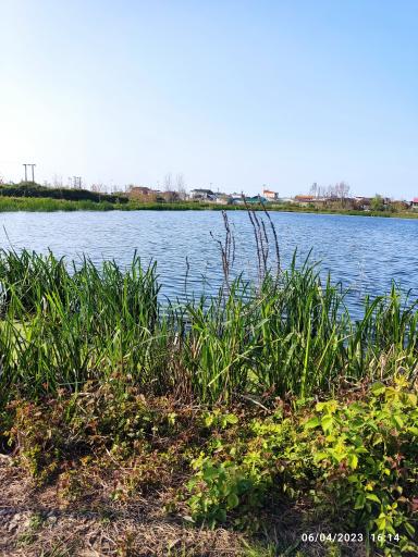 عکس استخر پرورش ماهی