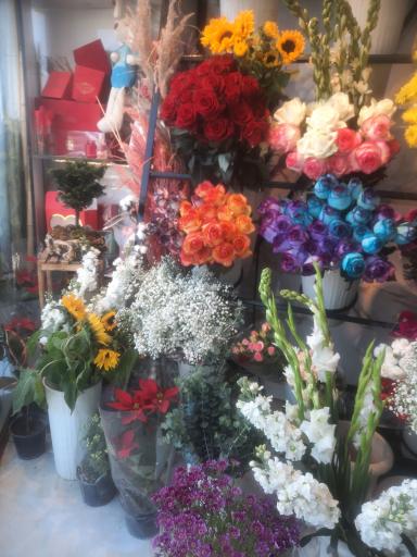 عکس گل شکیبا