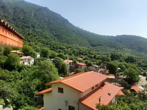 عکس جواهرده