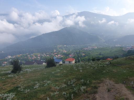 عکس جواهرده