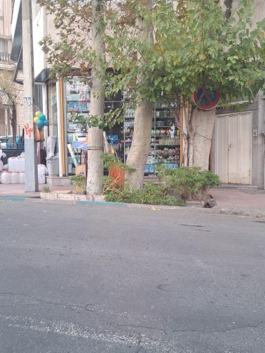 عکس فروشگاه ظروف پلاستیکی