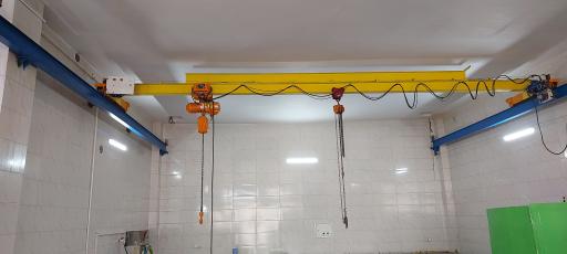 عکس تولیدی نبات پارس