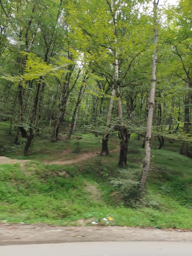 عکس جواهرده