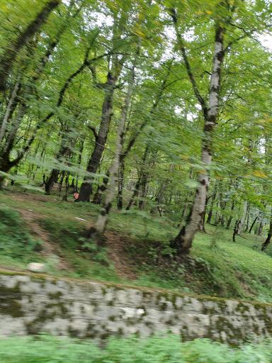 عکس جواهرده