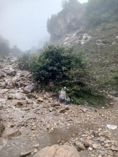 عکس جواهرده