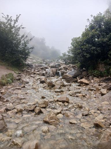 عکس جواهرده