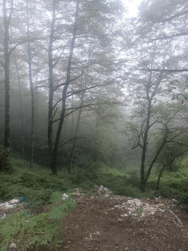 عکس جواهرده