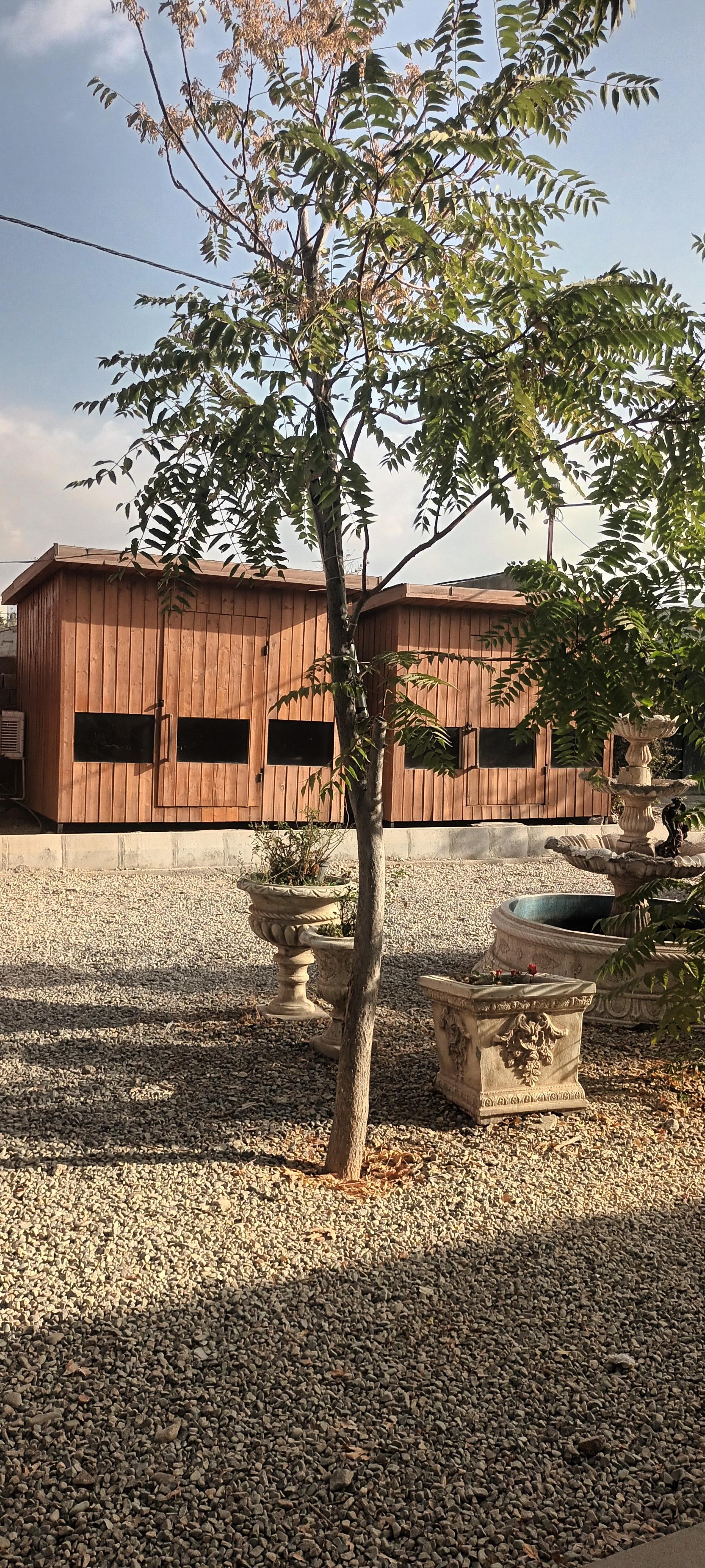 عکس دیزی سرای حاج عباس