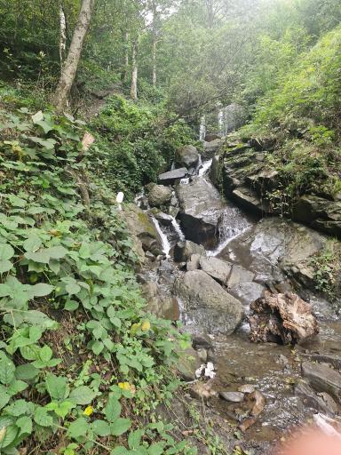 عکس جواهرده