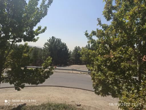 عکس بوستان جنگلی سوهانک