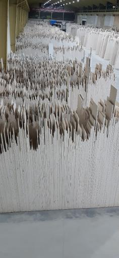 عکس سنگبری ثنایی