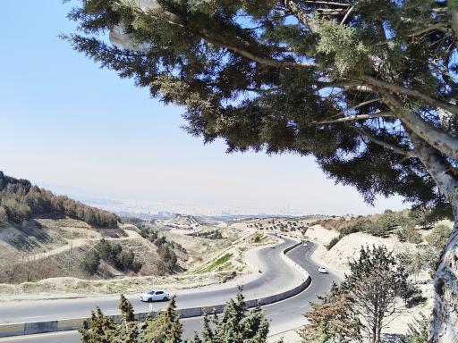 عکس بوستان جنگلی سوهانک