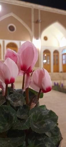 عکس اقامتگاه بومگردی سنتی پنجه آفتاب