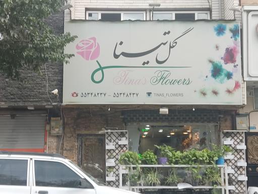عکس گل تینا