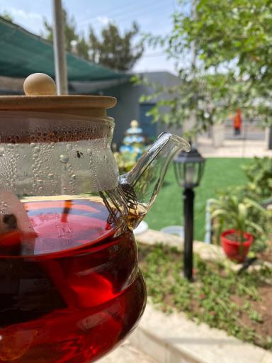 عکس کافه آنا