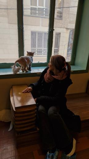 کافه موزه گربه ایرانی