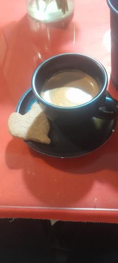 کافه موزه گربه ایرانی