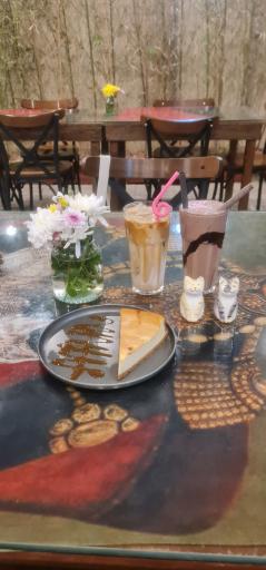 عکس کافه موزه گربه ایرانی