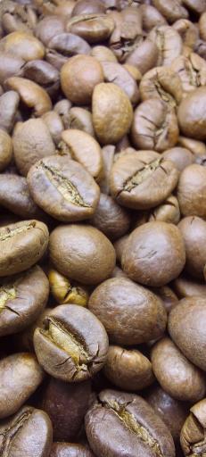 عکس کافه کِینو