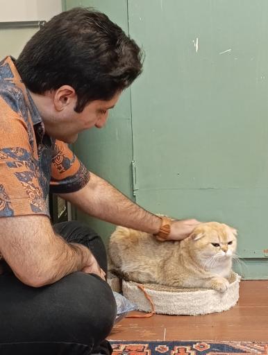 عکس کافه موزه گربه ایرانی
