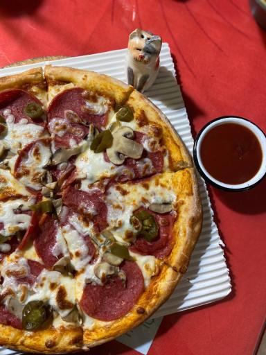 عکس کافه موزه گربه ایرانی