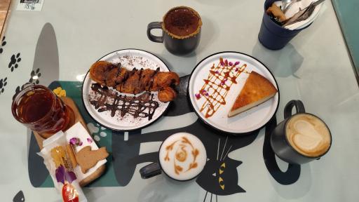 عکس کافه موزه گربه ایرانی