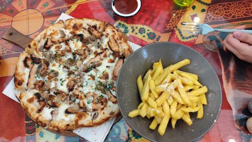 عکس کافه موزه گربه ایرانی