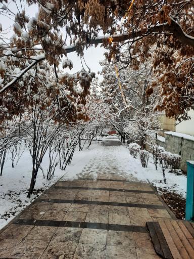 عکس بوستان سلامت