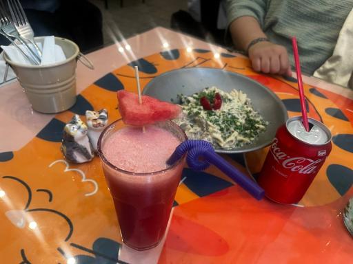 عکس کافه موزه گربه ایرانی