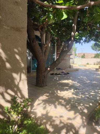 عکس رستوران باغ شمعدونی
