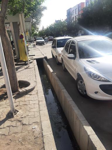 عکس  تقاطع توس