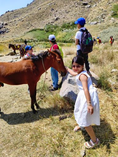 عکس دشت میشان