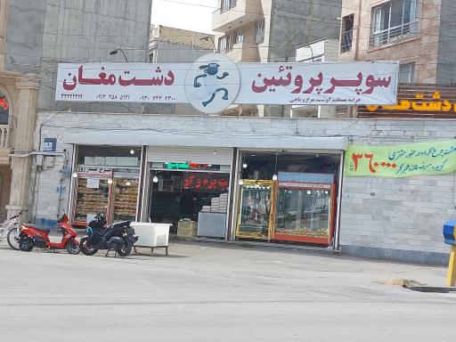 عکس پروتئین سرای دشت مغان