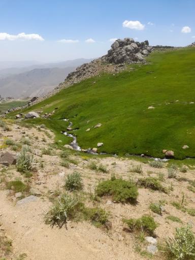 عکس دشت میشان