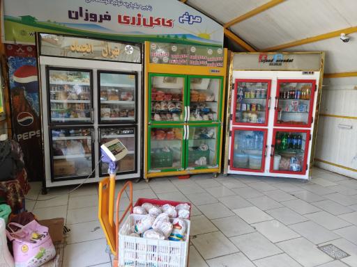 عکس فروشگاه گوشت مرغ کاکل زری