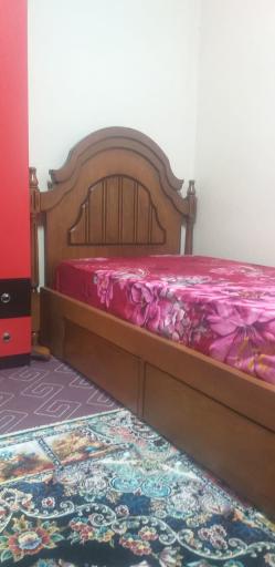 عکس صنعت چوب سورنوس