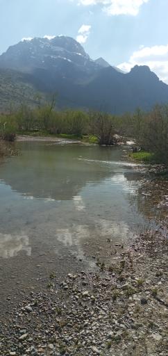 عکس دینور آب