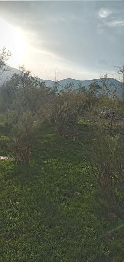 عکس دینور آب